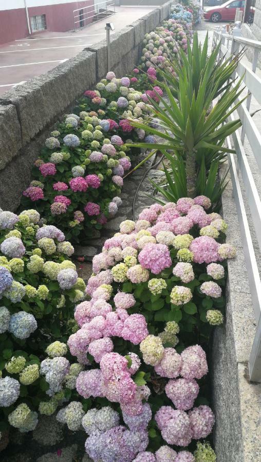 Apartamentos Colmado 산신소 외부 사진